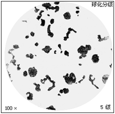 美信檢測