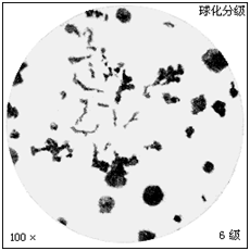 美信檢測