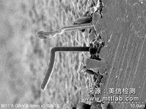 錫須觀察與測量