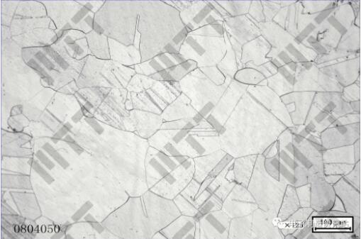 304不銹鋼單一奧氏體組織
