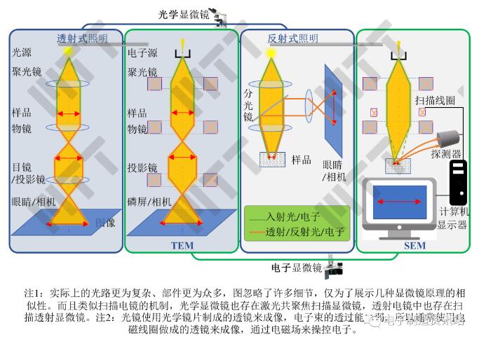 光學顯微鏡與電子顯微鏡的工作原理示意圖