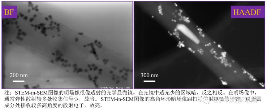 使用透射電子成像