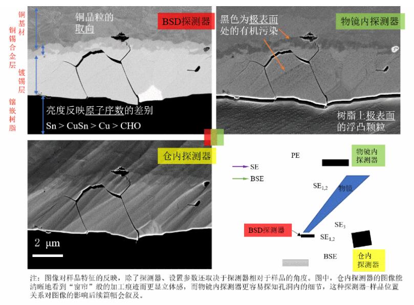 不同探測器、不同信號對金屬鍍膜截面成像