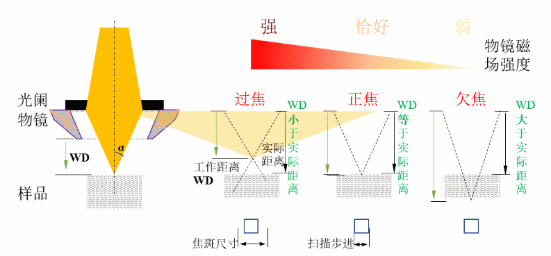 不同聚焦情況下圖像的變化