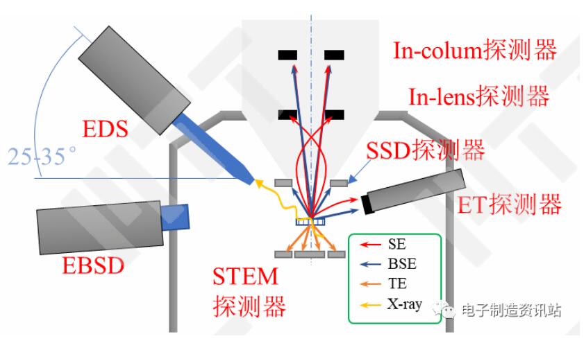 場發射掃描電鏡中的探測器配置示意