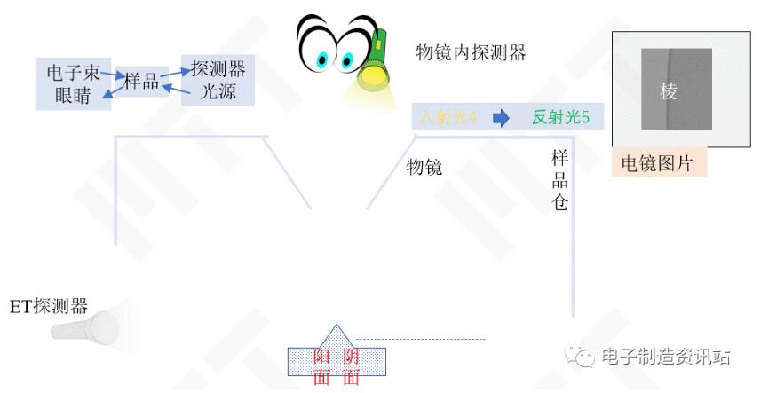利用光路可逆性演示物鏡內(nèi)探測器對圖像的影響
