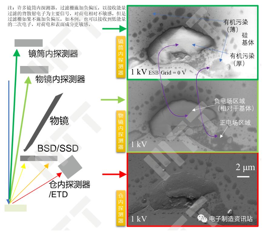 不同探測(cè)器對(duì)電位/荷電襯度反映的實(shí)例