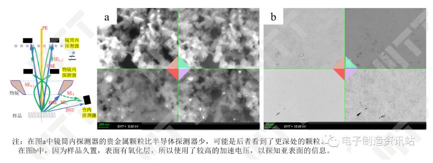 不同探測器在形貌、成分和取向上的表現