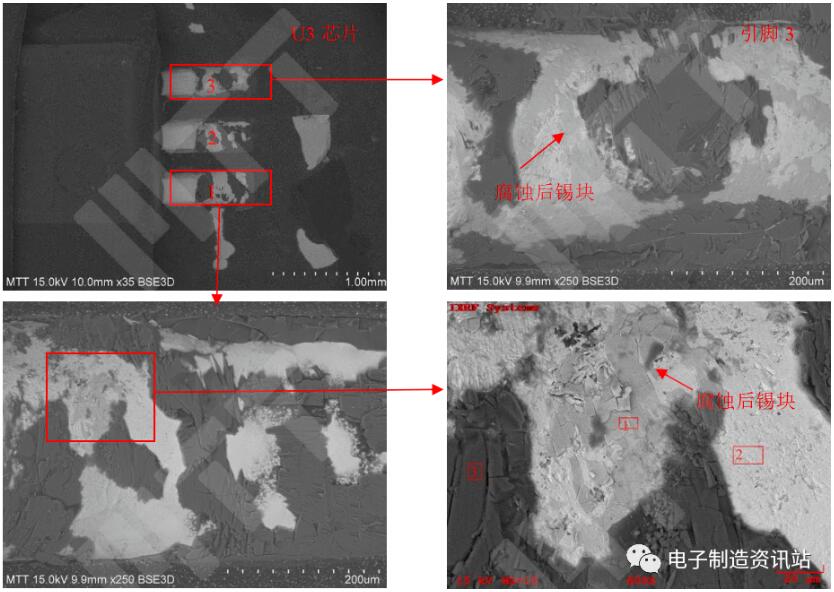#5失效電池U3芯片引腳表面SEM圖片及EDS能譜圖