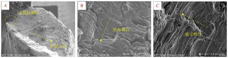 試樣2斷口典型SEM形貌