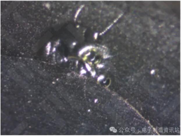 NG車把手體式顯微鏡圖片